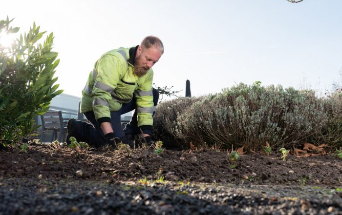 groenwerkers