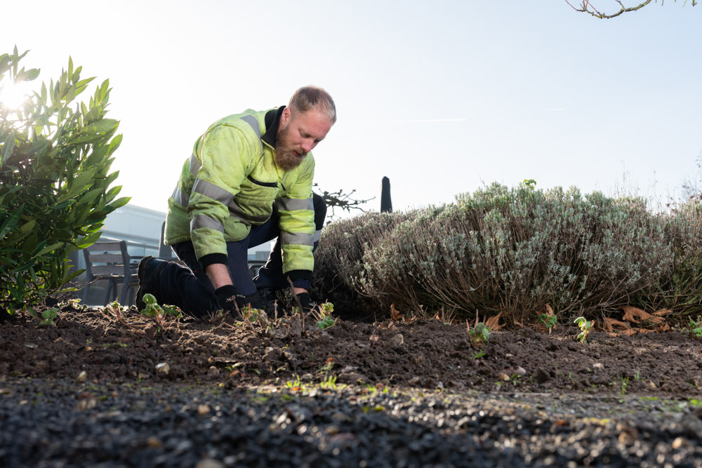 groenwerkers